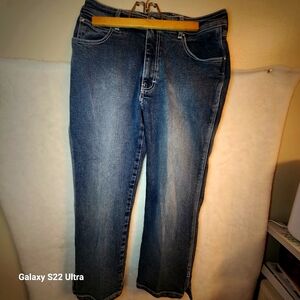 Sergio Valente Ladies Size 31 Blue Faded Denim Jeans Vintage Authentic Quality